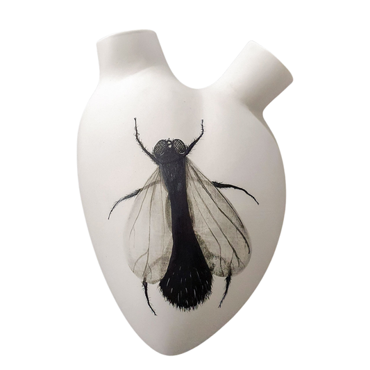 Elica - Fly Porcelain Heart