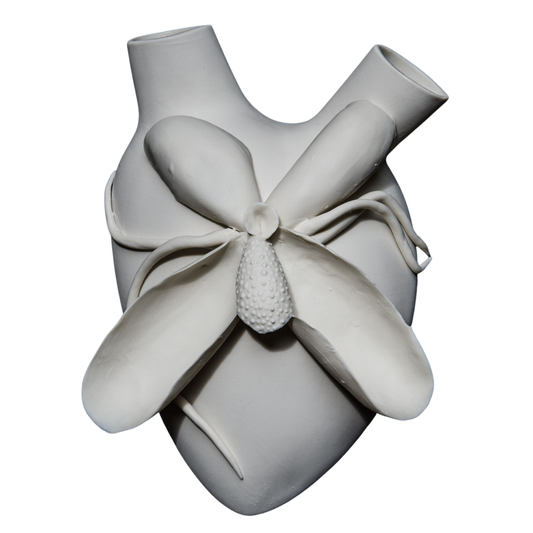 Elica - Phalaenopsis Porcelain Heart